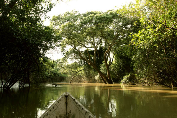 Canoeing on Mole River, Ghana